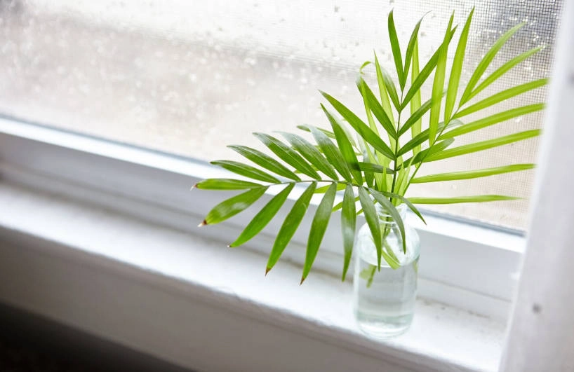 Why Single Hung Windows Are Ideal for Lovely Window Sill Arrangements