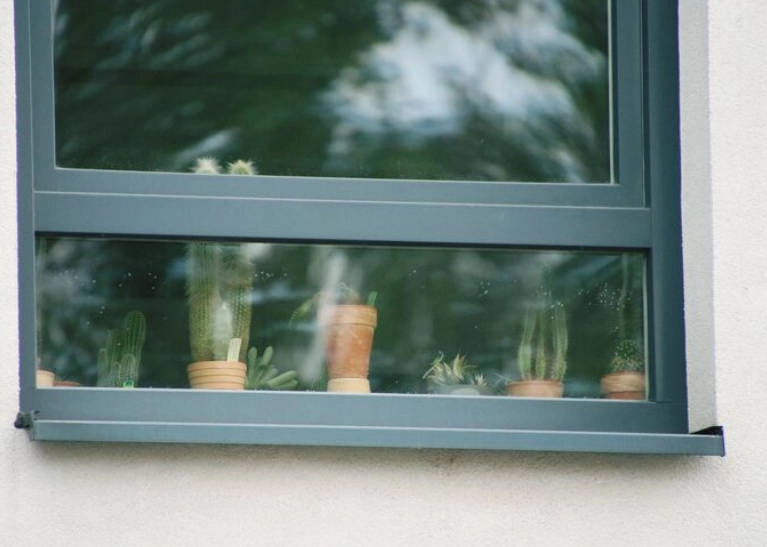 single hung window sill decoration