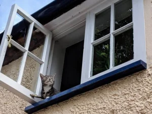 Casement vs Awning Windows Key Differences, Pros & Cons, and When to Choose Each